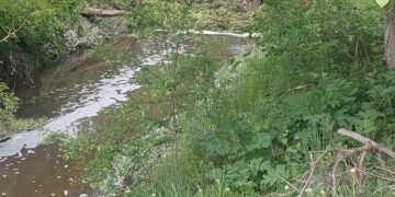 РИОСВ извърши спешна проверка в Разград заради непоносима смрад (ВИДЕО)