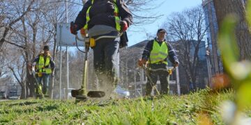 Пролетното косене във Варна върви по график