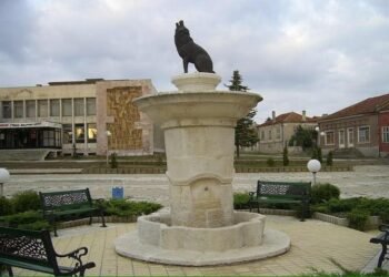  Община Вълчи дол организира кампания „Заедно да почистим нашия град“