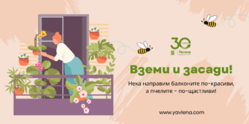 Раздават 100 саксии с цветя във Варна за Цветница