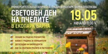 Екопарк Варна отбелязва Световния ден на пчелите