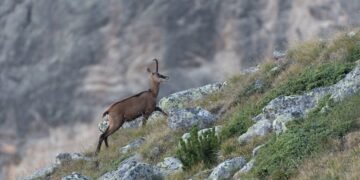 В България отбелязваме на 28 май Европейския ден на парковете