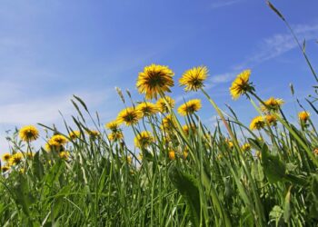 Регистрирахме най-горещия април – поредицата от световни рекорди продължава