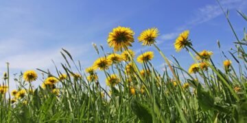 Регистрирахме най-горещия април – поредицата от световни рекорди продължава