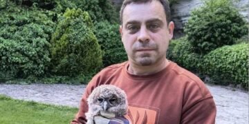 Служители на Аладжа манастир спасиха бедстваща сова