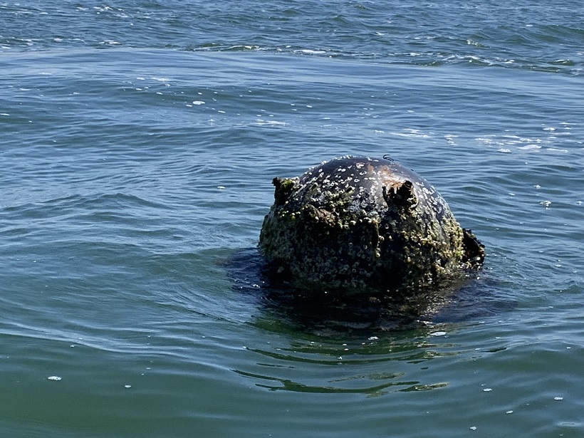 Военноморските сили унищожиха морска мина край Варна (СНИМКИ)