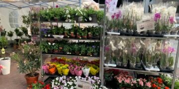 Цветен фестивал „Флора Варна“ ще се проведе в Морската градина в средата на май