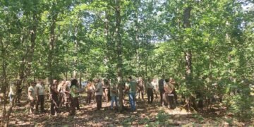 Специализирано обучение по стопанисване на горите в ДЛС-Шерба