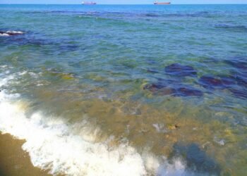 Ето какво е качеството на морската вода във Варна