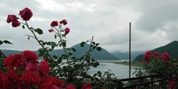 Ще бъдат разработени интегрирани туристически пакети с наличните ресурси, местни дадености и наследство на трите общини, които ще бъдат широко рекламирани на българския и полския туристически пазар.