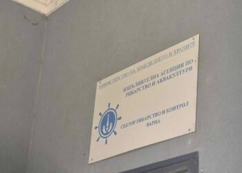 ВАС върна на работа бившия главен архитект на Варна Виктор Бузев