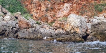 Намериха втори дрон на скалите до Тюленово