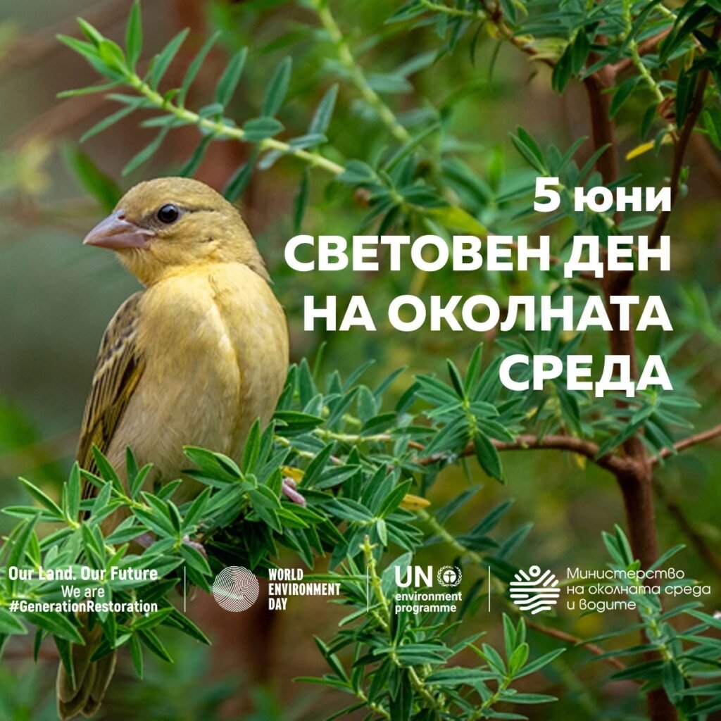 Отбелязваме Световния ден на околната среда