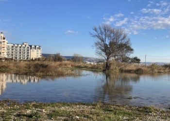 Забраниха къпането в Кранево заради замърсяване с ешерихия коли