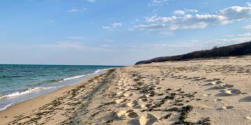 Милошев: До 2-3 дни в морето край Кранево ще може да се плува без ограничения