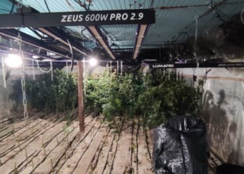 Окръжна прокуратура – Варна се заема със стопанина на наркооранжерия в село Садово