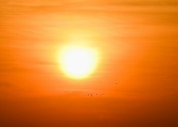 България ще бъде засегната от горещи вълни все по-често и силно