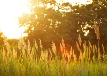 Светът преживя най-топлия юни през последните 144 години