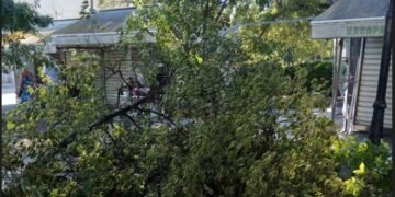 Огромен клон се стовари зад спирката срещу Градска болница във Варна