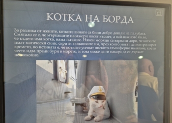 Жената на кораба носи неприятности, а котките късмет! Ето някои от най-любопитните морските суеверия и митове (СНИМКИ/ВИДЕО)