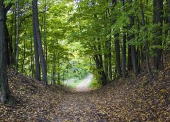 МИГ "Девня - Аксаково" обяви прием по мярка 7.6 от ПРСР