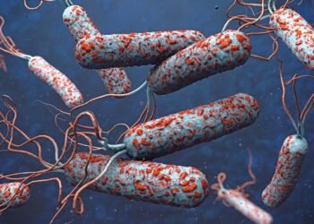 Регистриран е внeсен случай на холера в България