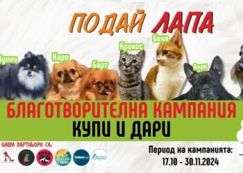 Скоро стартира кампанията “Подай лапа! Ти и Бурлекс с любов за уличните любимци!