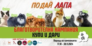 Скоро стартира кампанията “Подай лапа! Ти и Бурлекс с любов за уличните любимци!