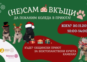 Община Варна кани всички любители на животните да посетят Приюта в с. Каменар тази събота