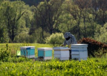 Отбелязваме Международния ден на биосферните паркове