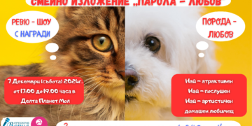 Домашни и улични любимци мерят чар и качества по време на шоу – ревю “Порода – Любов!”, част от Семейно изложение “Парола – Любов!”