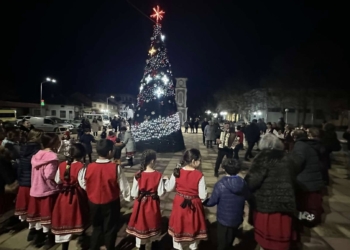 Грейна коледната елха в Дългопол (СНИМКИ)
