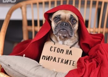 СайтЪТ призовава: Дарете парите за пиратки за храна на бездомните животни! Община Варна съкрати фоерверките след призив на природозащитници!