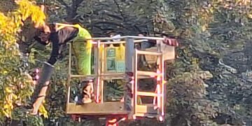 На 18 декември ще премахват опасни дървета в ДКЦ 4