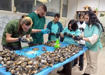 Столичната екоинспекция изпрати сигнал в сектора за престъпления против дивата природа след като откриха над 1000 мъртви чинки край Копривщица