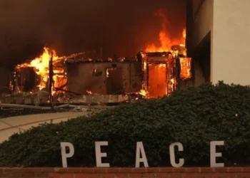 Огнен кошмар: Пожари изпепелиха цели квартали в Лос Анджелис, петима загинаха