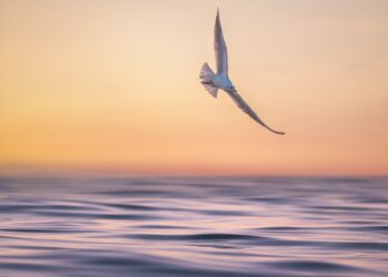 По Черноморието ще бъде предимно слънчево със слаб вятър