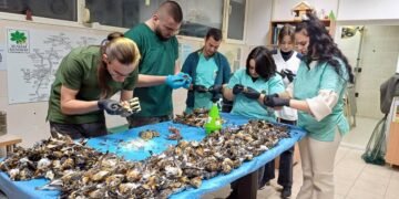 Над 600 птици бяха убити от новогодишната заря в Копривщица