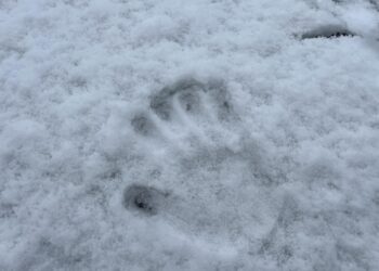 НИМХ – Варна: Облачно с валежи от дъжд и сняг по Черноморието