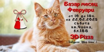 Благотворителен базар в помощ на Animal Hope Varna ще се проведе на 22 февруари
