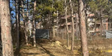 Няма издадени нови заповеди за премахване на дървета до Паметника на българо-съветската дружба