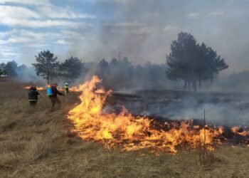 Девет пожара са възникнали в Североизточна България от началото на годината до момента
