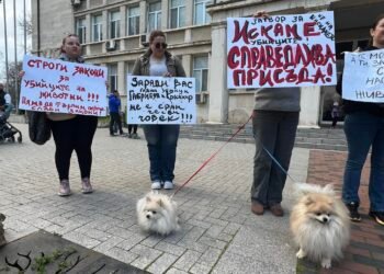 Стотици варненци протестираха срещу насилието над животни и подкрепиха подписка за създаване на зоополиция! (ВИДЕО/СНИМКИ)