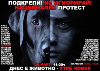 България отново се надига срещу насилието над животните! (ВИДЕО)