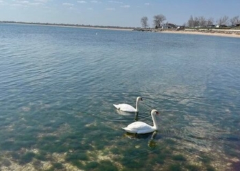 Продължава мониторингът на морските води по повод военните действия на територията на Република Украйна