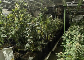 Поредна ударна акция по наркоразпространението във Варна