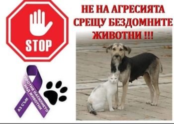 И Варна се включва в протестите срещу насилието над животни
