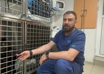 Д-р Спас Спасов, ОВК Варна: Изхвърлят бебета котета и кучета пред клиниката в движение от колите си, жестоко и безотговорно е! (ВИДЕО/СНИМКИ)