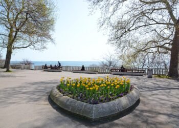47 000 лалета радват варненци в Морската градина
