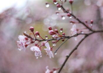 НИМХ – Варна: Остава облачно с превалявания, температурите падат